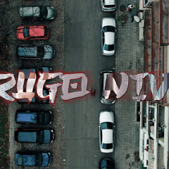DIMOFF - DRUGO NIVO