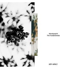Αlexskyspirit - Fundamental #1