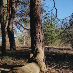 ДШВ