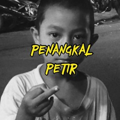 PENANGKAL PETIR - MELESAT.mp3