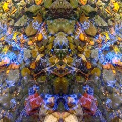 Syntonic