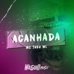 MC Theu Wl - Acanhada - Dj's Waguin & Js Putão