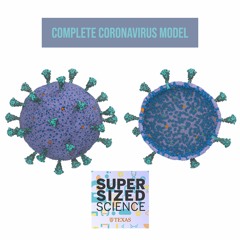 Complete Coronavirus Model