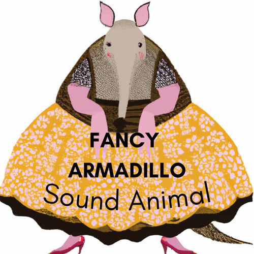 Fancy Armadillo