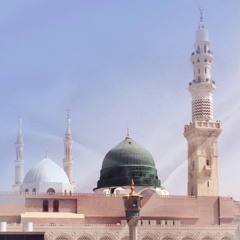 تشوقت روحي لشط الوادي || المنشد محمد برنية