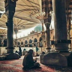 هذا هو الدين وهذة هي الحياة - الشيخ أحمد السيد