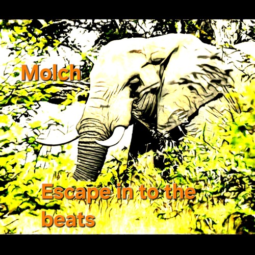 Molch-explore and discover