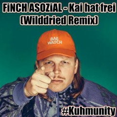 FiNCH ASOZiAL - Kai hat frei (Wilddried Remix)