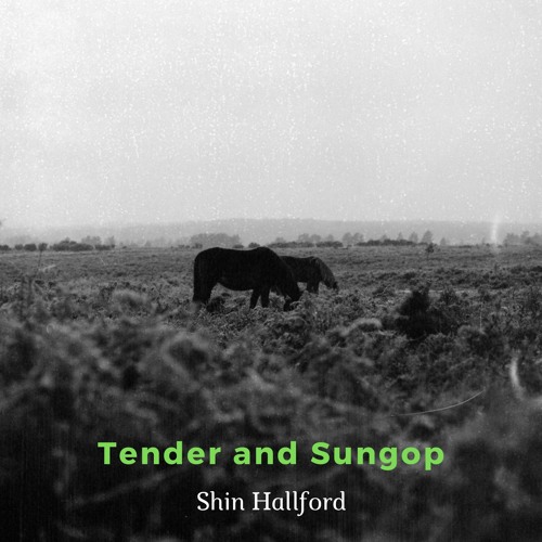 Tender And Sungop