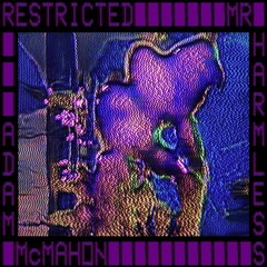 Premiere: Adam McMahon & Mr Harmless - Restricted [ECHOREC003]