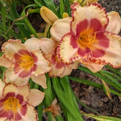 TheFlooddd🌊 [prod. darklord]