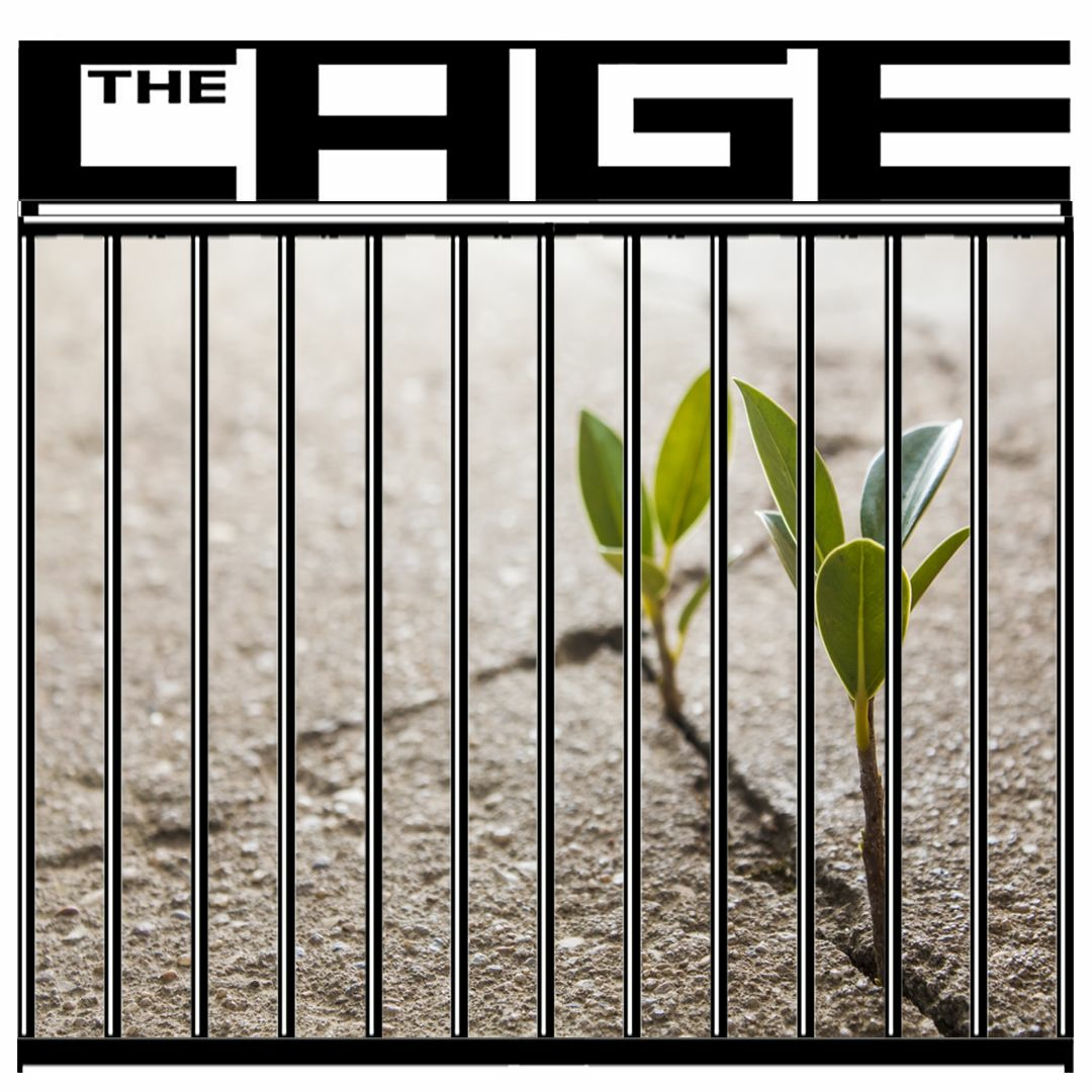 Cage221012 episode artwork