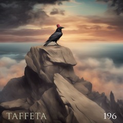 TAFFETA | 196