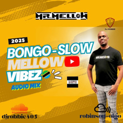 BONGO-SLOW-MELLOW-VIBEZ-AUDIO 2025