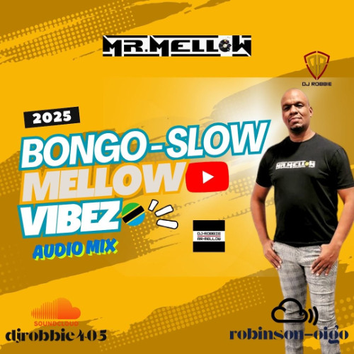 BONGO-SLOW-MELLOW-VIBEZ-AUDIO 2025