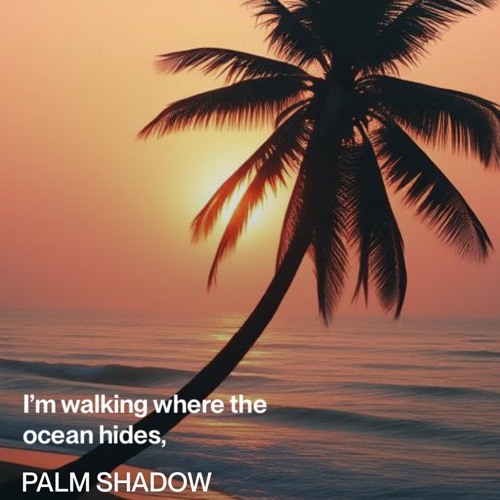 palm-shadow 4