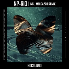 Premiere: NP-Rio "Nocturno (Melgazzo Remix)" - Kaligo Records