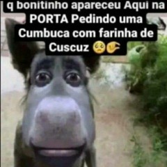 ela vem pra caixa d'água