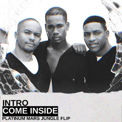 INTRO - COME INSIDE - PLATINUM MARS JUNGLE FLIP
