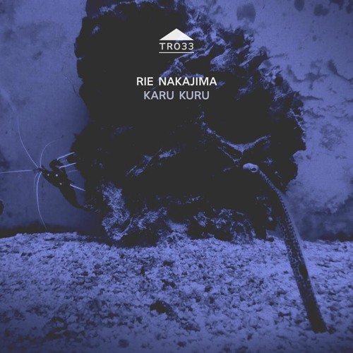 TR033 - Rie Nakajima - 'Karu Kuru' [sample]