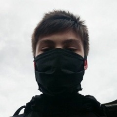 ЛОХМАТЫЙ ЁЖ