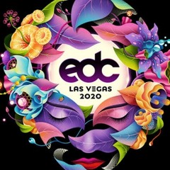 Afrojack_-_EDC_Las_Vegas_Virtual_Rave-A-Thon_(May_17,_2020)