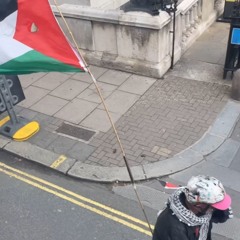 Palestine Electro Mix