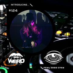 Introducing... Guest Mix #124 WerD