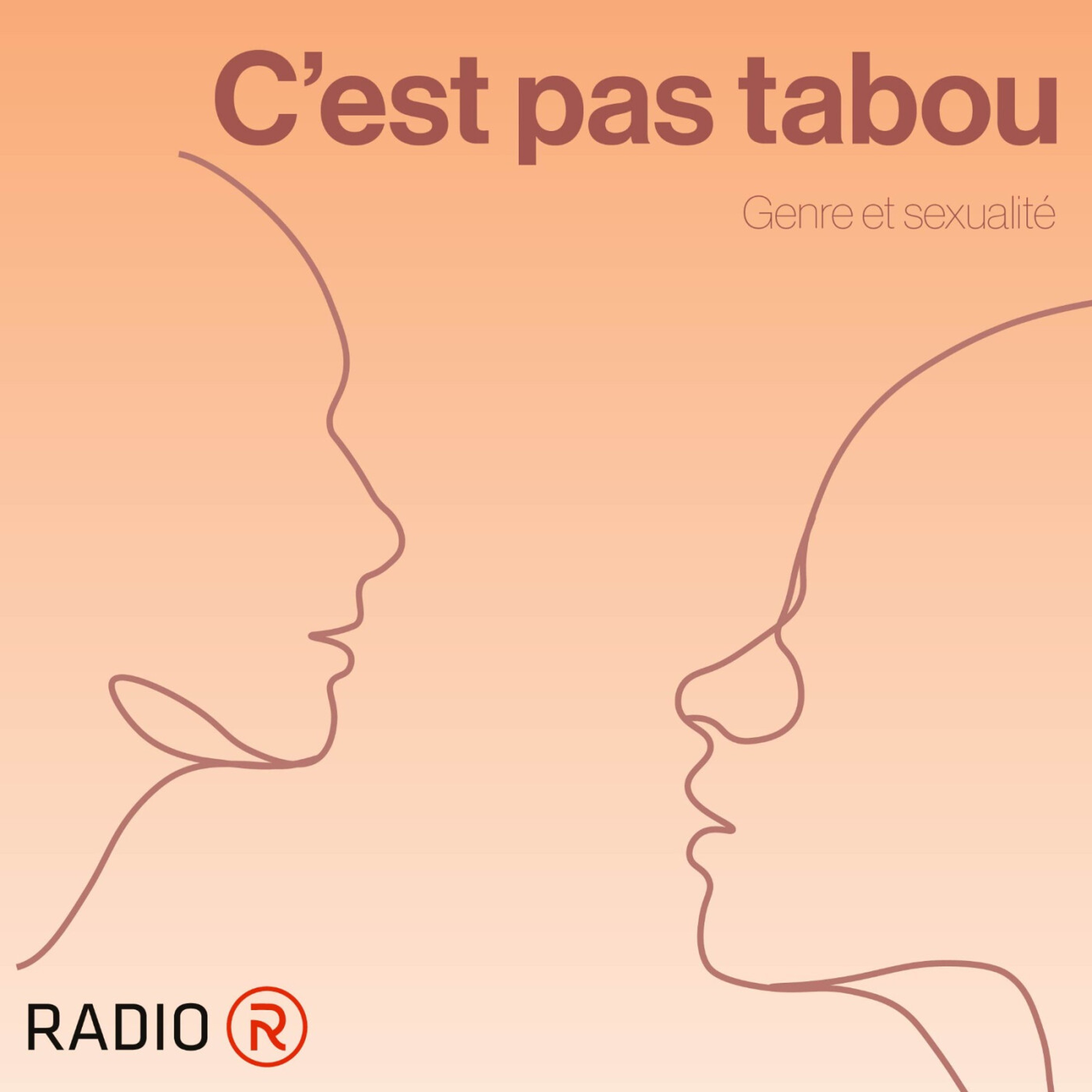 C'est pas tabou: La pornographie episode artwork