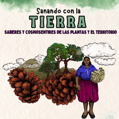 4. Biodiversidad, conservación y regeneración