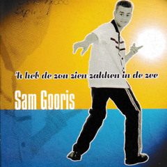 'k Heb De Zon Zien Zakken In De Zee (Radio)