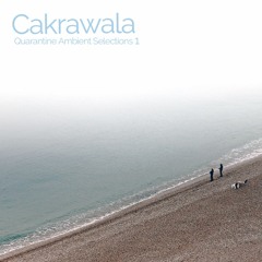 Cakrawala (aka Hogi Wirjono) - Quarantine Ambient Selections 1
