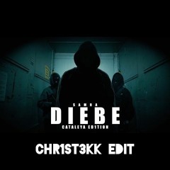 DIEBE  - CHR1ST3KK EDIT [HARDTEKK]