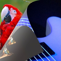 Awesome Instrumental Love Songs