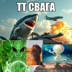 тт свага