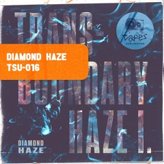 PREMIERE : Diamond Haze - Unreal (Grema Loves This Sound Remix) [TSU-016]