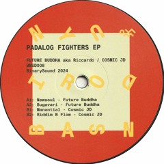 Future Buddha aka Riccardo / Cosmic JD - Padalog Fighters EP (BNSD008)