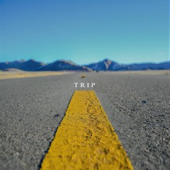 Trip(Prod.DAY8)