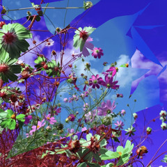 cosmos⇄chaos