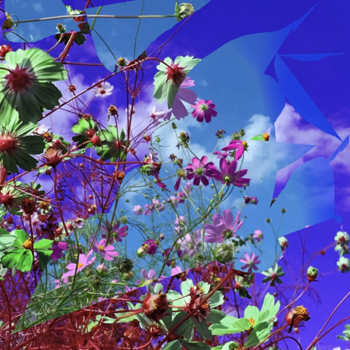 cosmos⇄chaos