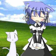Windows XP