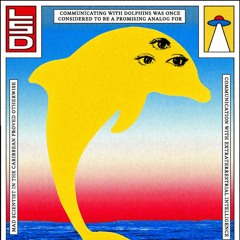 Folge dem Delphin - Rafael Postpischil
