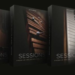 MiňoZemšťaN - SESSIONS SONG CONTEST - Sessions Latin Loop