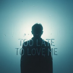 Too Late To Love Me