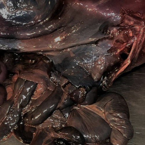 merkaba [acid/tribe techno] [mix_02]