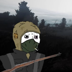 Stalker Bandit radio but you’re in a fire fight with some Bandits