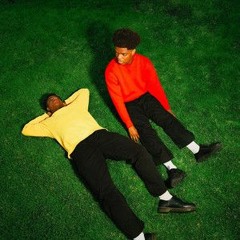 Can U Love Me Tonight Flip