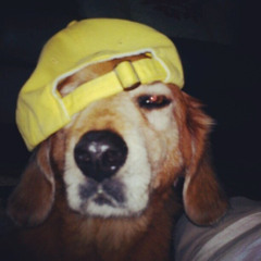 nbdy else prod janurii