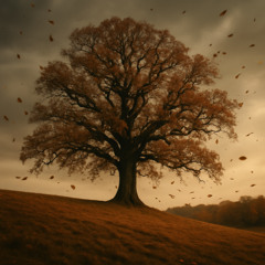 Beneath the Silence