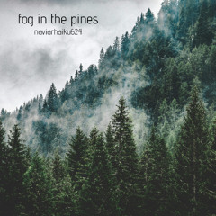 fog in the pines (naviarhaiku624)
